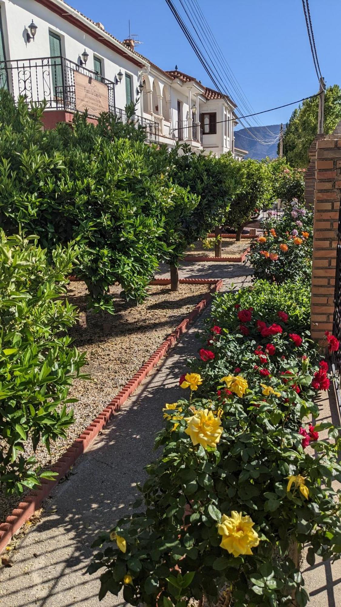 La Canota 2-Floors King Rooms Adults Only Talara Exterior photo